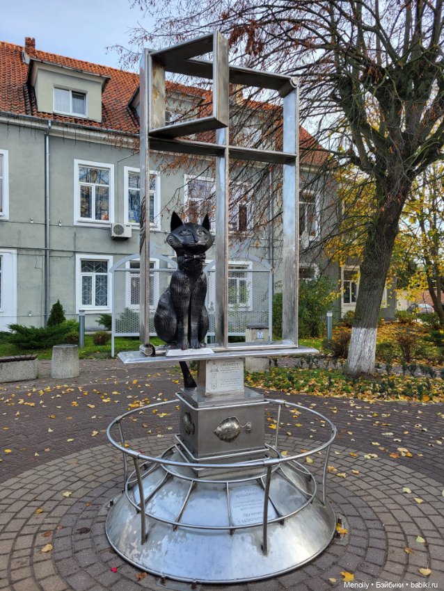 Кошачий город Зеленоградск