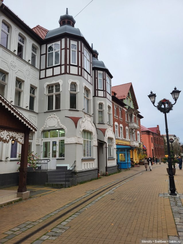 Кошачий город Зеленоградск (фото 3)