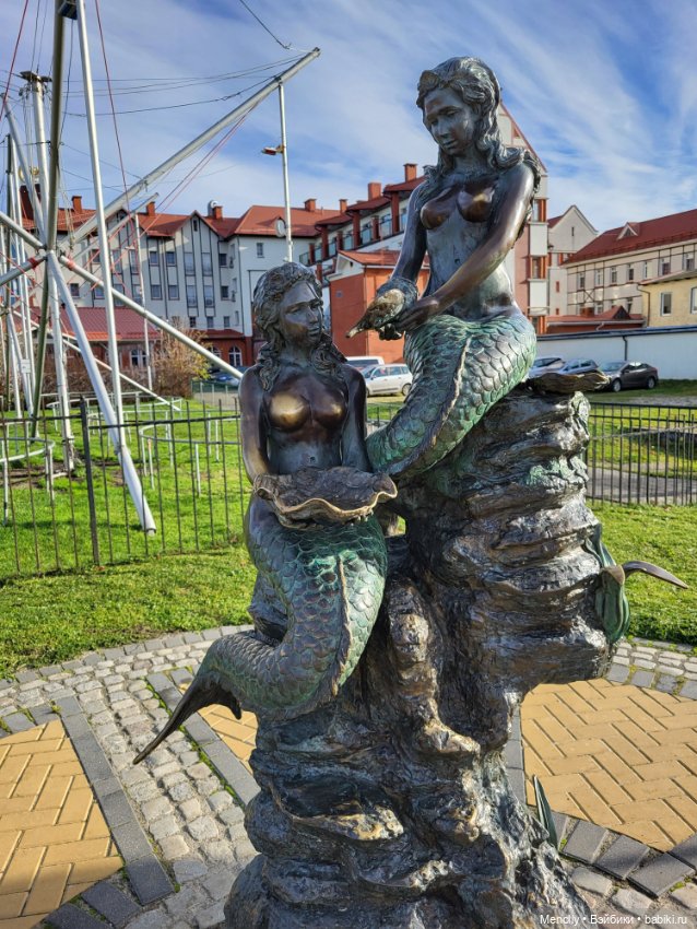 Кошачий город Зеленоградск