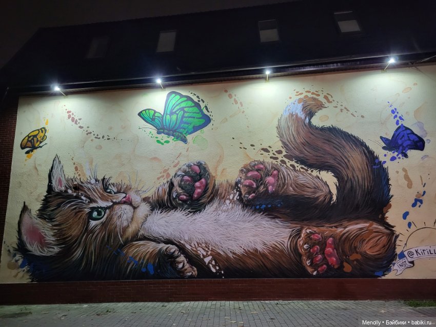 Кошачий город Зеленоградск (фото 8)