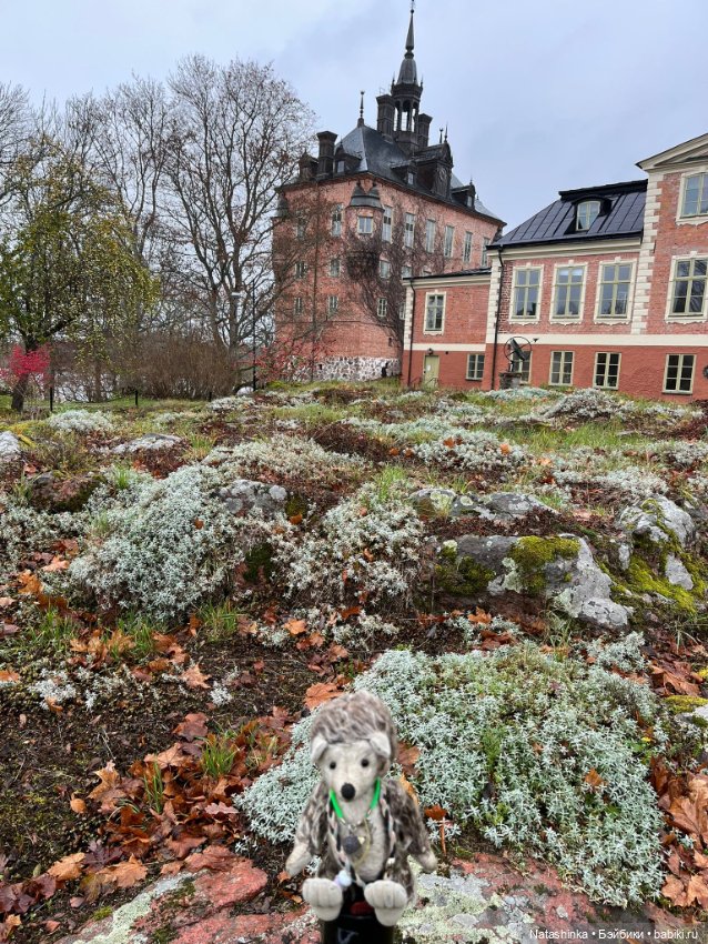 Fashion Dolls 423 — Туризм и путешествия: фотоотчеты из поездок