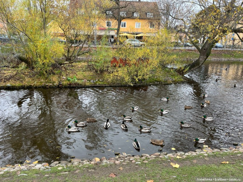 Fashion Dolls 423 — Туризм и путешествия: фотоотчеты из поездок