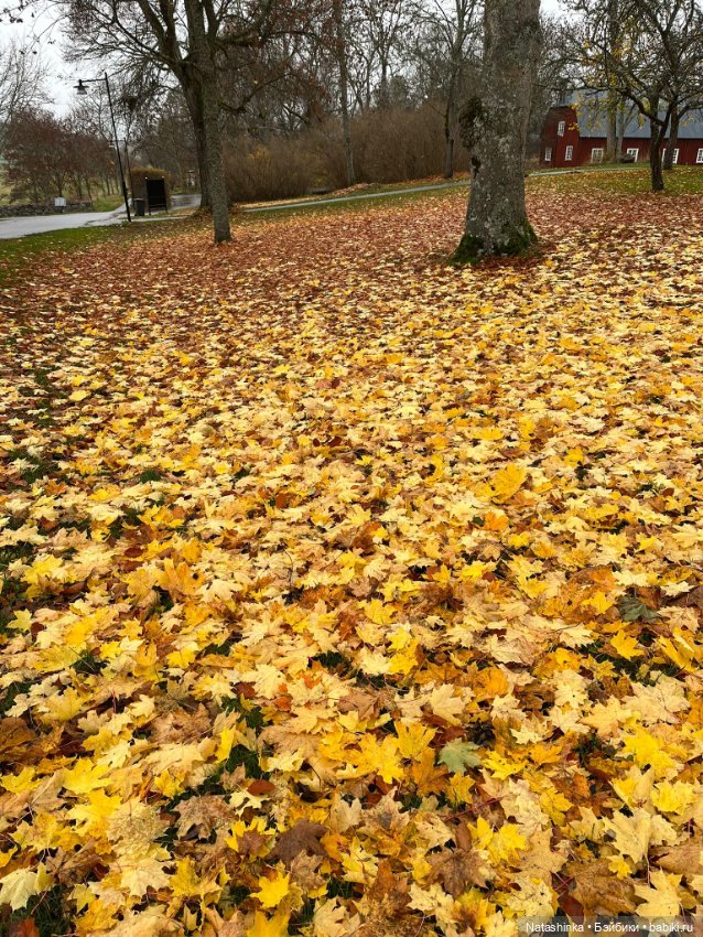 Fashion Dolls 423 — Туризм и путешествия: фотоотчеты из поездок (фото 7)