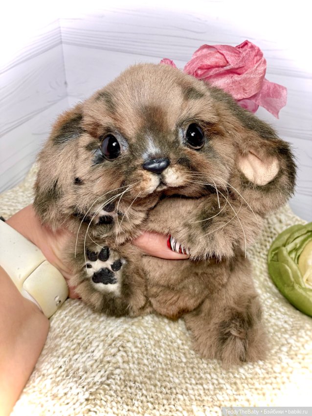 Кэри🐾 — Реалистичные игрушки и звери (Натюр): собаки