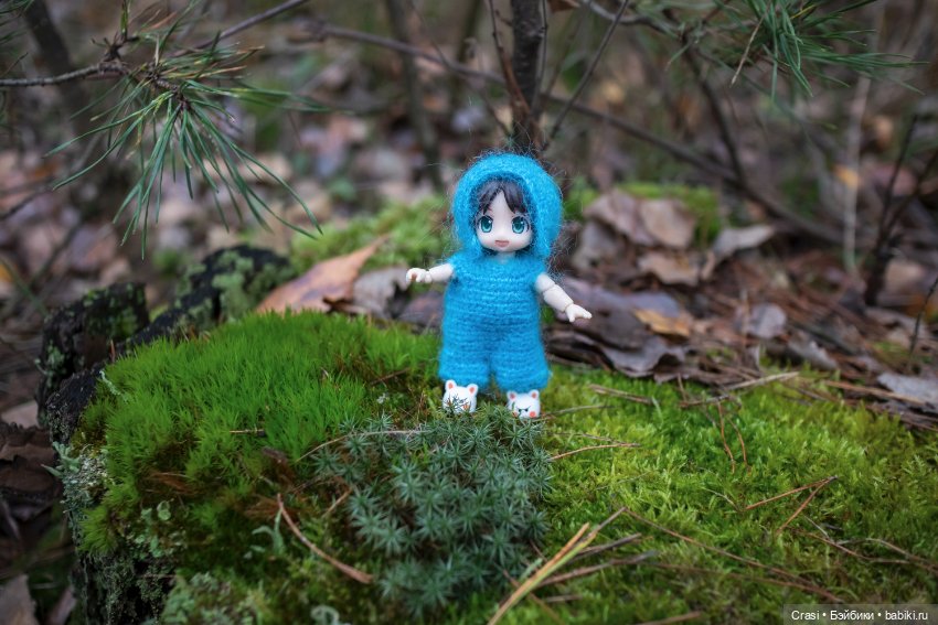 Моё маленькое чудо — Аниме куклы (MJD/Винил): Imomo