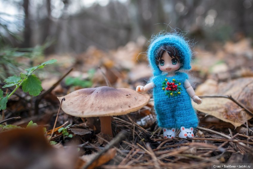 Моё маленькое чудо — Аниме куклы (MJD/Винил): Imomo (фото 4)