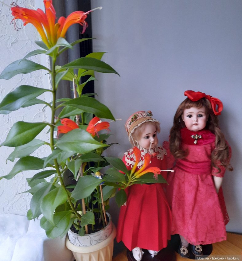 Mystery — Редкие антикварные куклы и реплики: воск