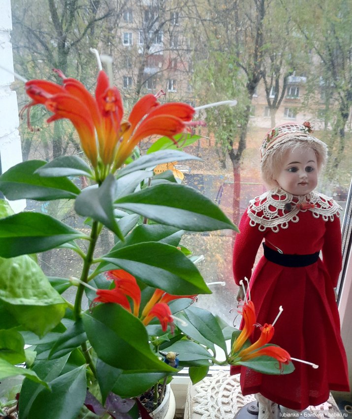 Mystery — Редкие антикварные куклы и реплики: воск