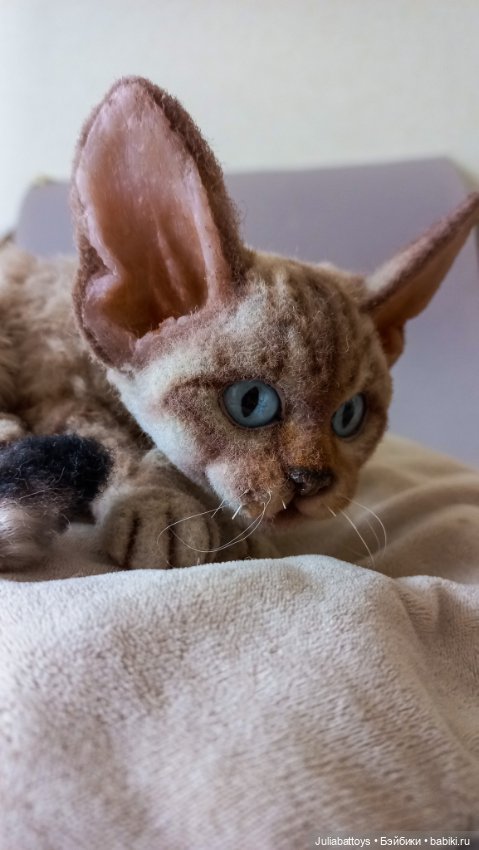 Девон рекс — Авторские мишки Тедди и друзья: фото (фото 3)