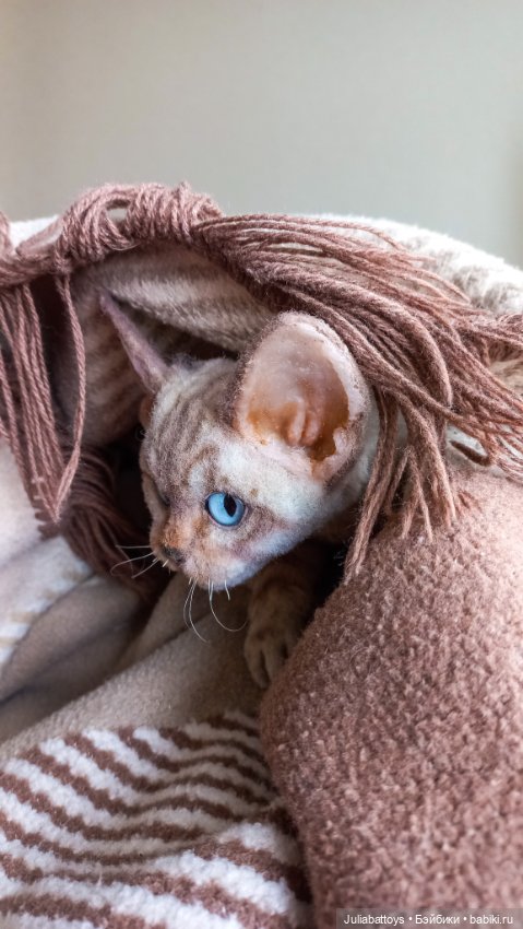 Девон рекс — Авторские мишки Тедди и друзья: фото