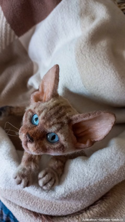 Девон рекс — Авторские мишки Тедди и друзья: фото