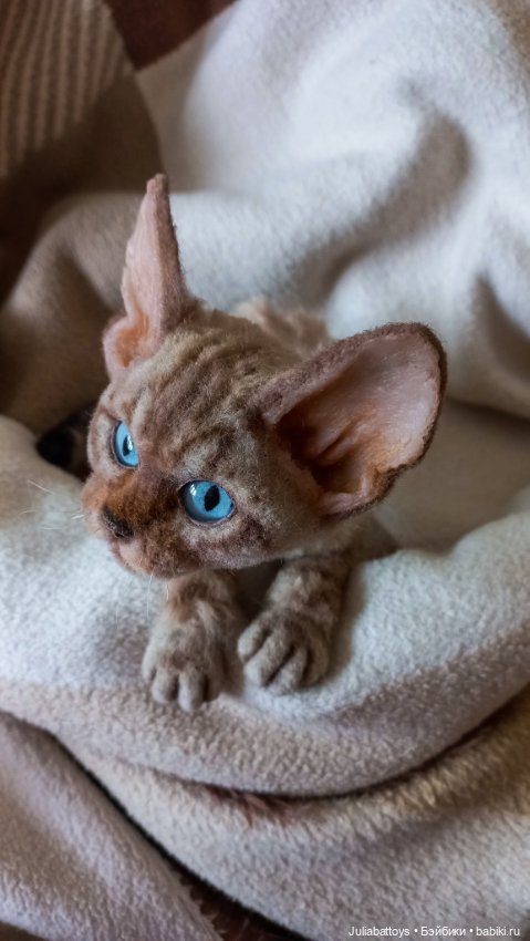 Девон рекс — Авторские мишки Тедди и друзья: фото