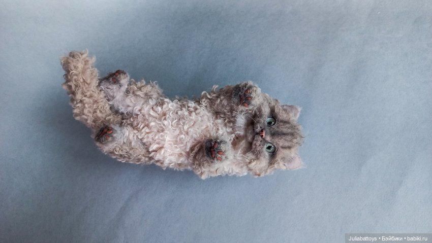 Реалистичный котенок Селкирк рекс в натуральную величину