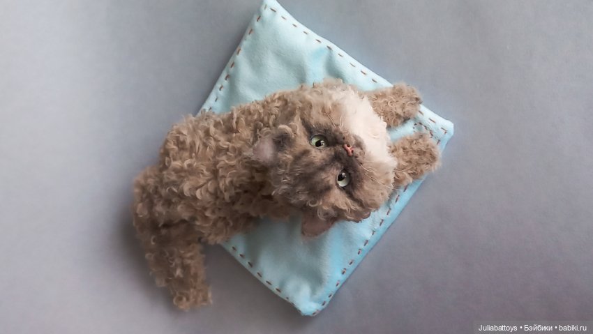 Реалистичный котенок Селкирк рекс в натуральную величину (фото 10)