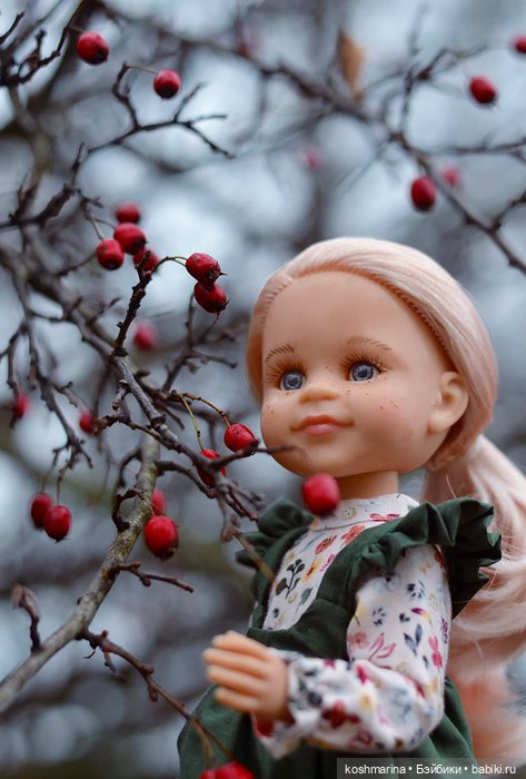 Ноябрьские ромашки — Куклы Paola Reina (Паола Рейна): новинки (фото 7)
