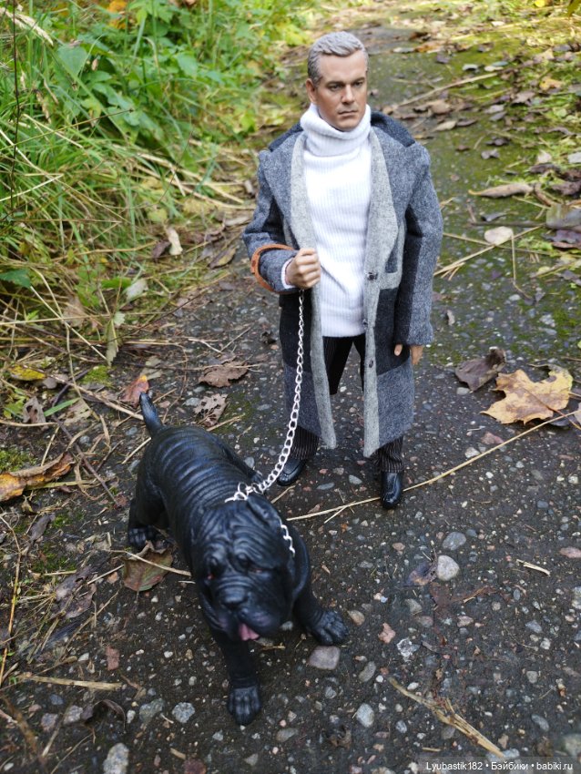 Когда гуляешь с собакой — Коллекционные экшн (фото 3)