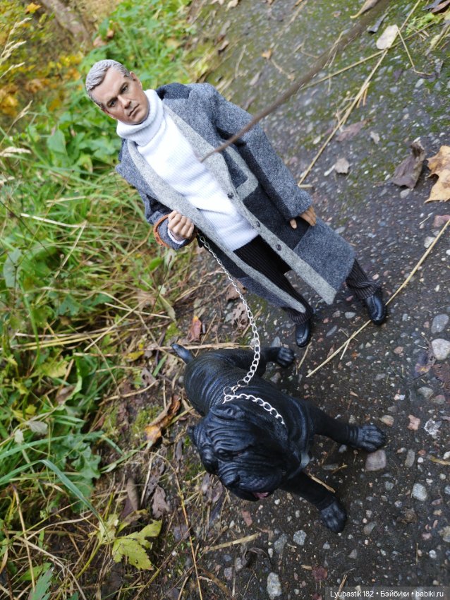 Когда гуляешь с собакой — Коллекционные экшн (фото 6)