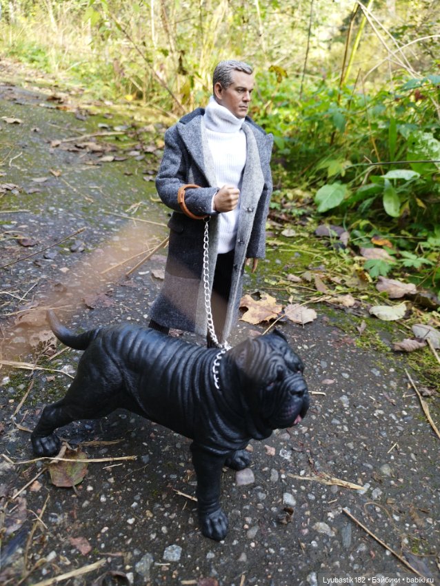 Когда гуляешь с собакой — Коллекционные экшн (фото 4)