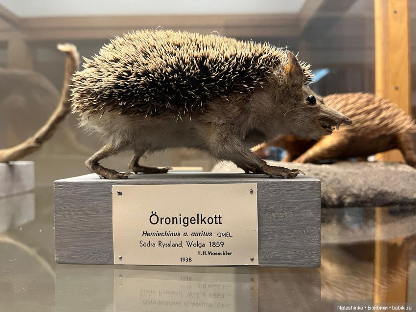 Fashion Dolls 425 — Туризм и путешествия: фотоотчеты из поездок (фото 7)