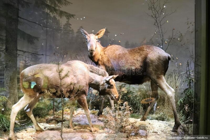 Fashion Dolls 425 — Туризм и путешествия: фотоотчеты из поездок (фото 5)