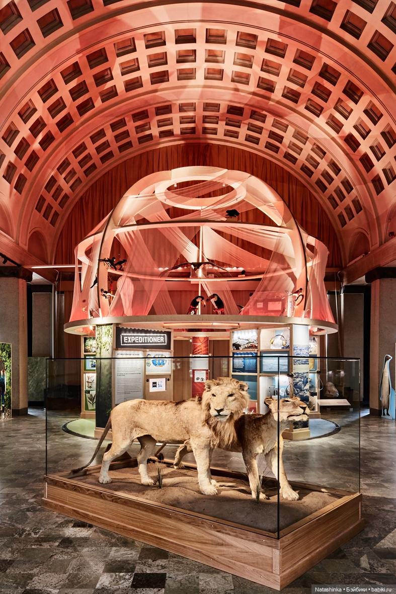 Fashion Dolls 425 — Туризм и путешествия: фотоотчеты из поездок (фото 6)