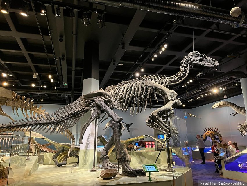 Fashion Dolls 425 — Туризм и путешествия: фотоотчеты из поездок (фото 8)