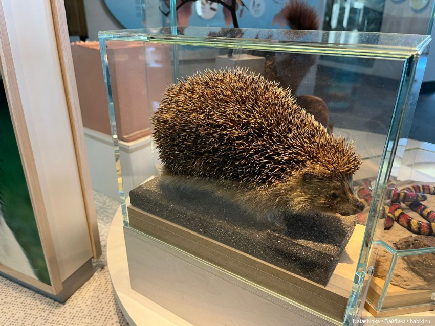 Fashion Dolls 425 — Туризм и путешествия: фотоотчеты из поездок