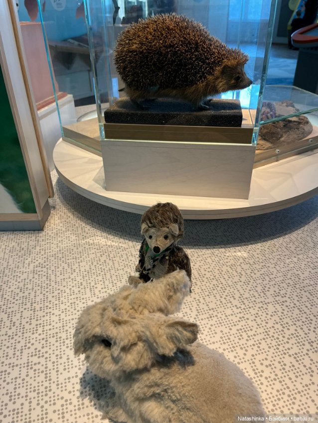 Fashion Dolls 425 — Туризм и путешествия: фотоотчеты из поездок