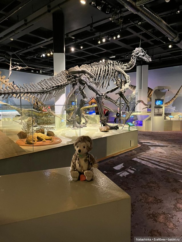 Fashion Dolls 425 — Туризм и путешествия: фотоотчеты из поездок