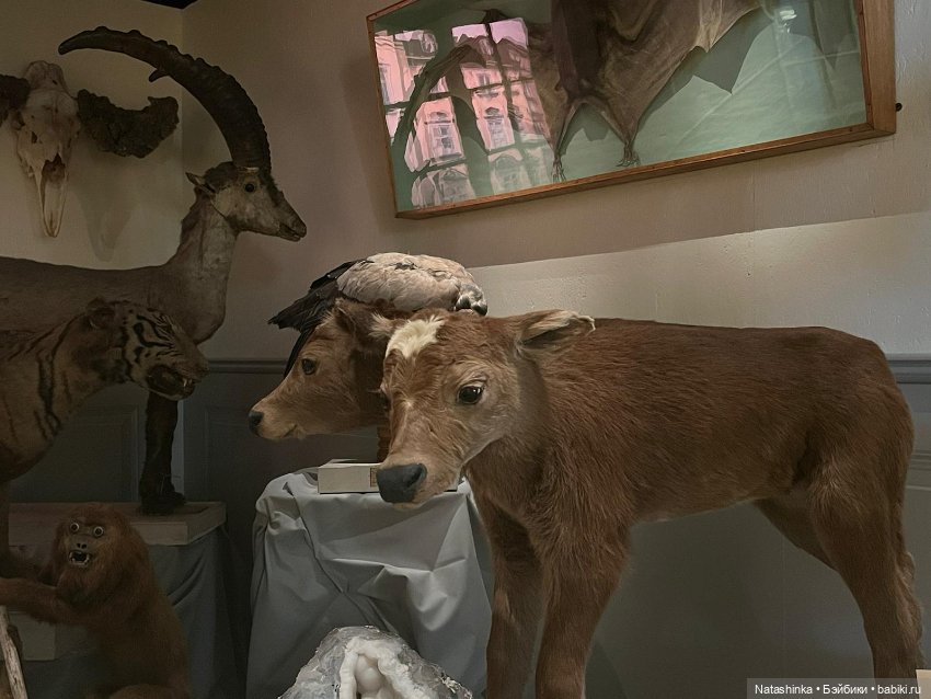 Fashion Dolls 425 — Туризм и путешествия: фотоотчеты из поездок (фото 4)