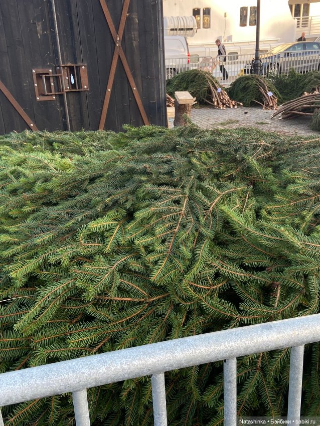 Fashion Dolls 426 — Туризм и путешествия: фотоотчеты из поездок