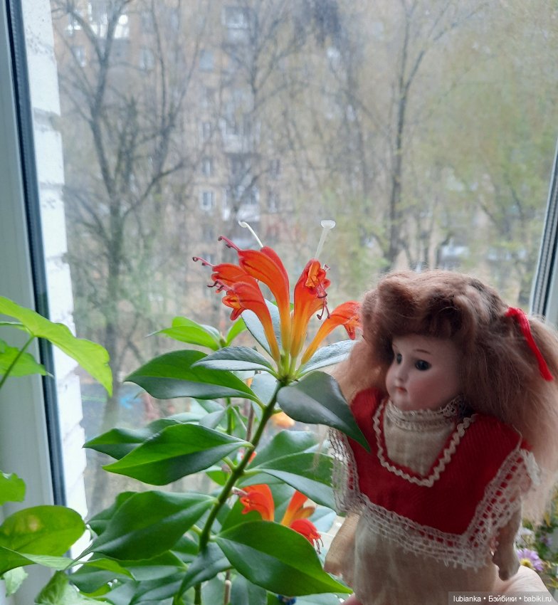 Внучкина кукла — Антикварные куклы Mignonette (Миньонетта): карманные (фото 7)