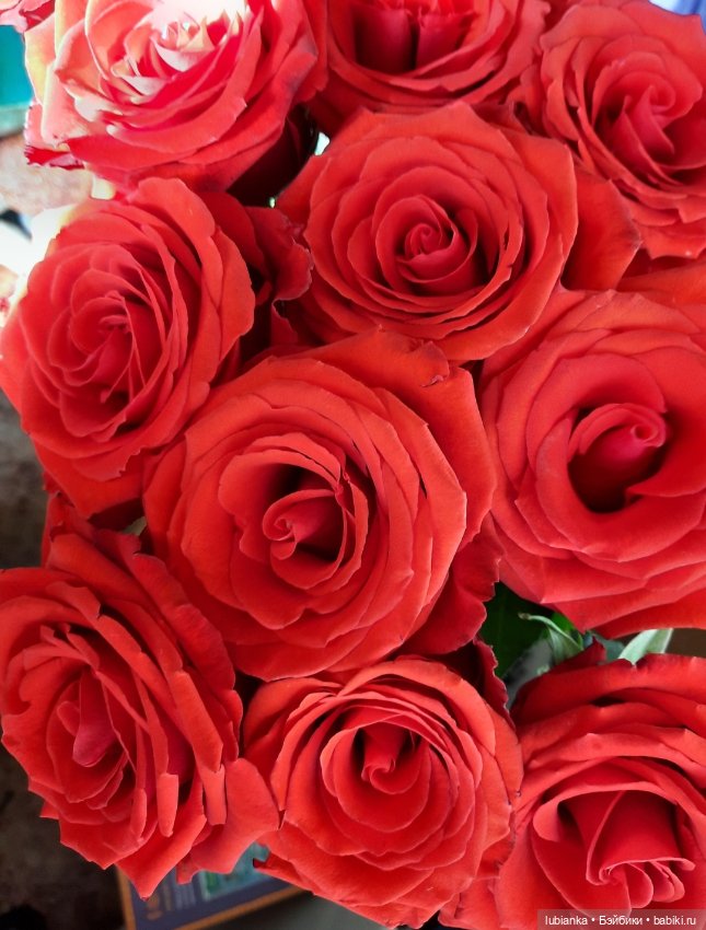 Внучкина кукла — Антикварные куклы Mignonette (Миньонетта): карманные