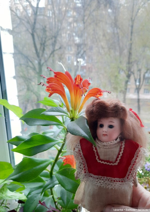 Внучкина кукла — Антикварные куклы Mignonette (Миньонетта): карманные