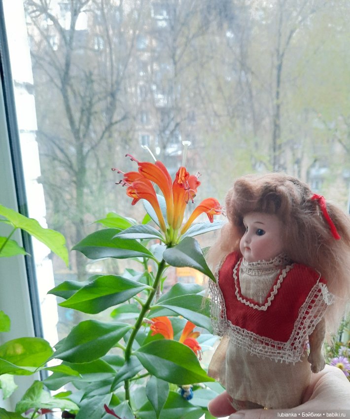 Внучкина кукла — Антикварные куклы Mignonette (Миньонетта): карманные (фото 8)