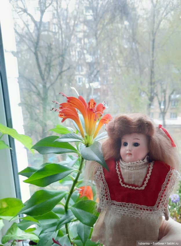 Внучкина кукла — Антикварные куклы Mignonette (Миньонетта): карманные (фото 9)