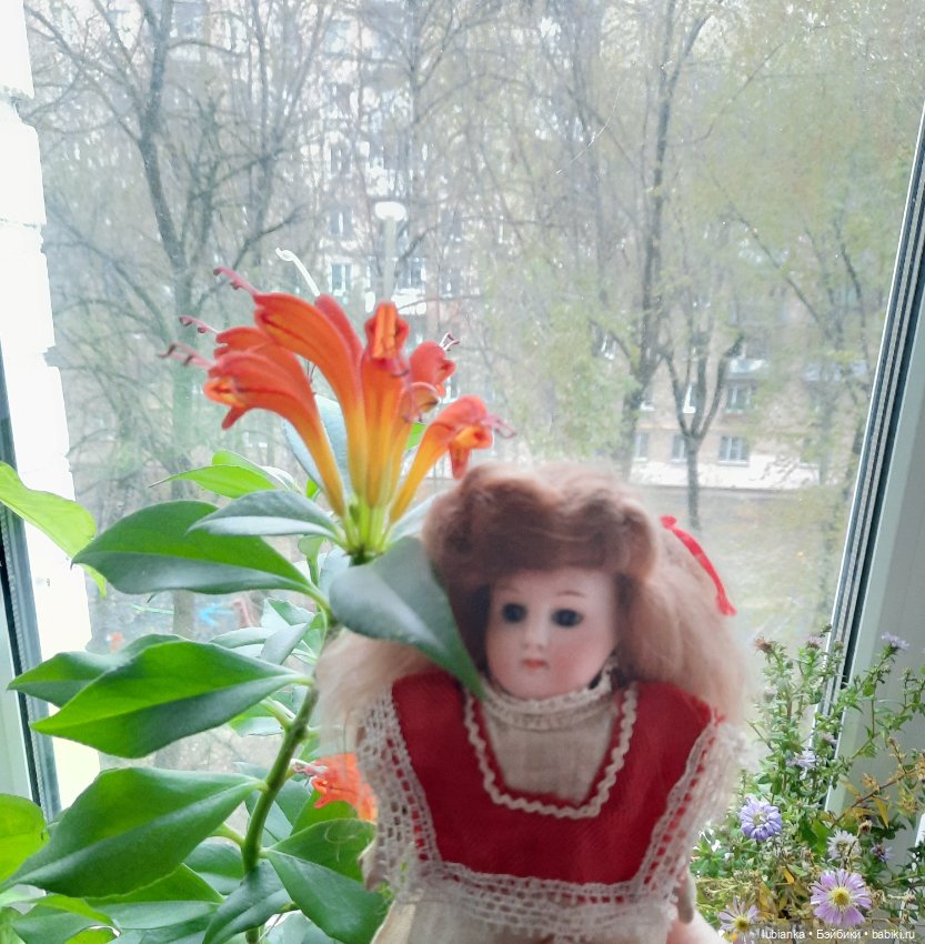 Внучкина кукла — Антикварные куклы Mignonette (Миньонетта): карманные