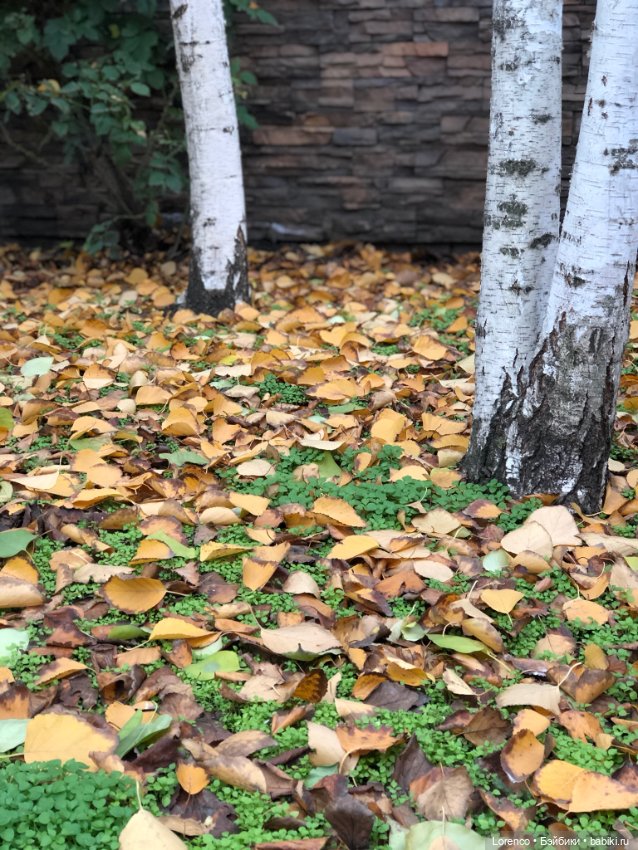 Природотерапия — Интересные игрушки и фигурки (разное): редкие