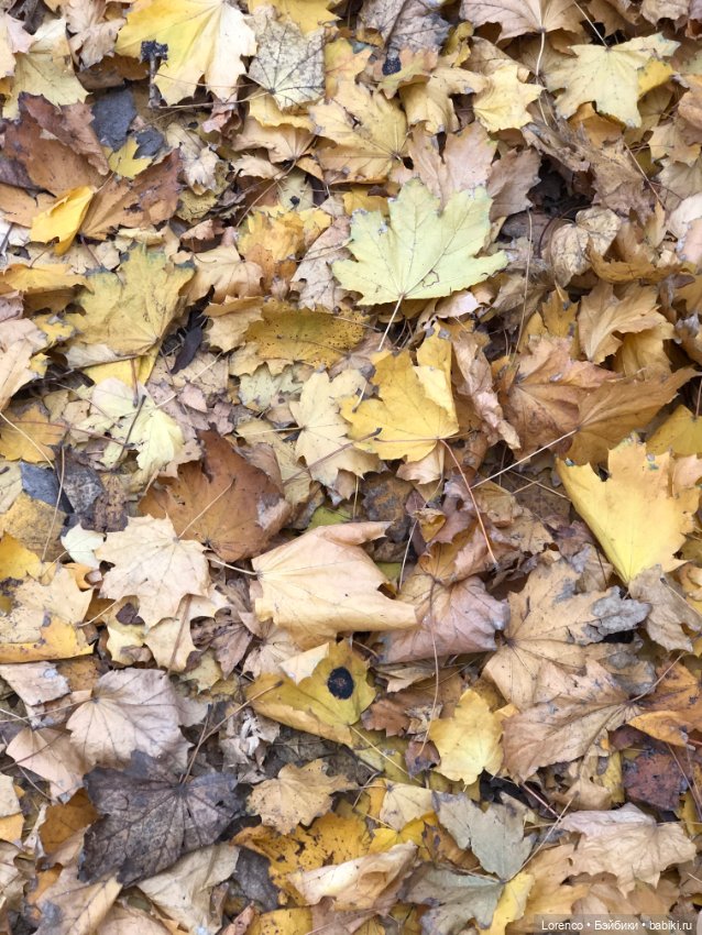 Природотерапия — Интересные игрушки и фигурки (разное): редкие (фото 3)