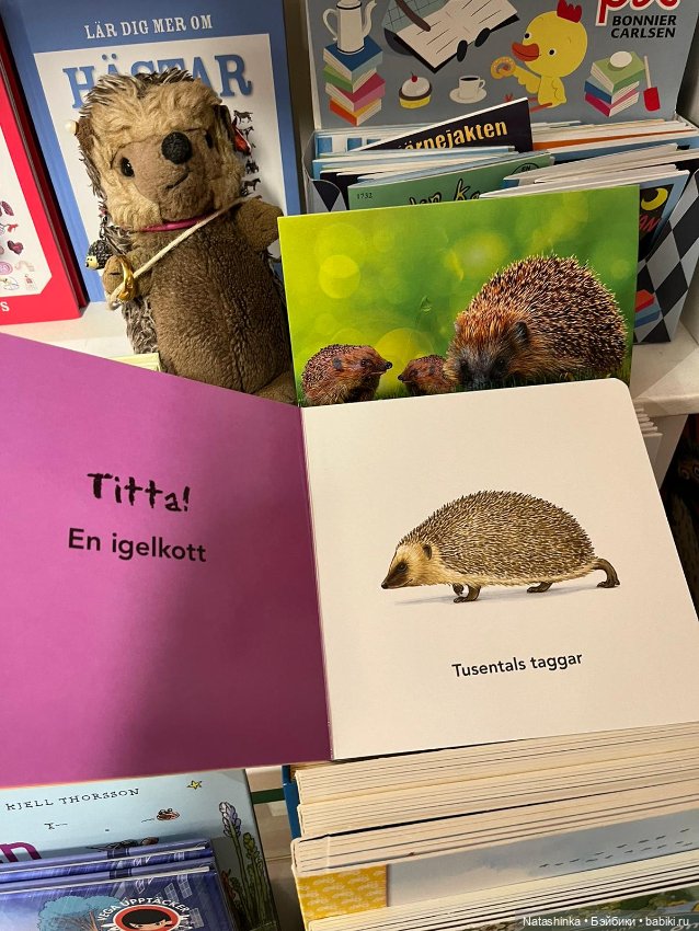 Fashion Dolls 427 — Туризм и путешествия: фотоотчеты из поездок