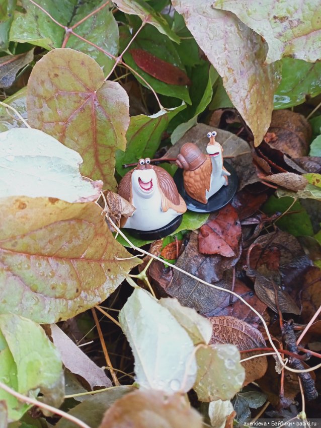 У природы нет плохой погоды. Каждая погода - БЛАГОДАТЬ (фото 6)