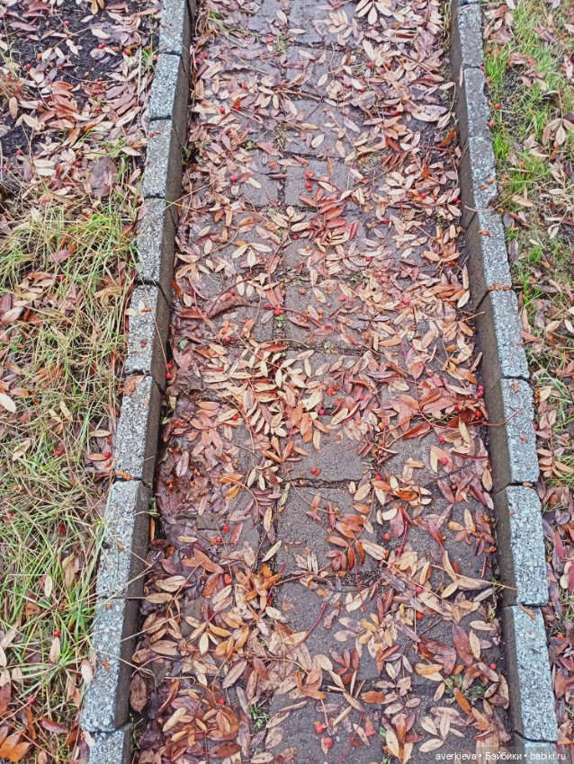 У природы нет плохой погоды. Каждая погода - БЛАГОДАТЬ (фото 8)