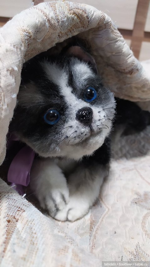 Новый мальчик — Авторские мишки Тедди и друзья: фото