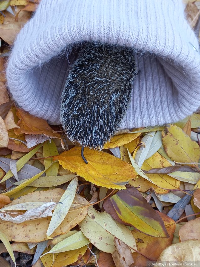 Ежик ушастый — Авторские игрушки из разных материалов: синельная проволока (фото 6)