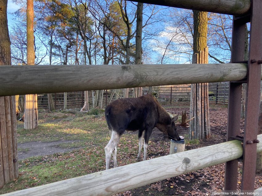 Fashion Dolls 428 — Туризм и путешествия: фотоотчеты из поездок