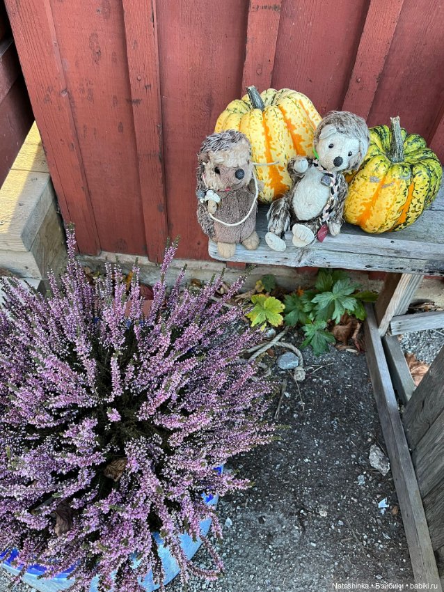 Fashion Dolls 428 — Туризм и путешествия: фотоотчеты из поездок