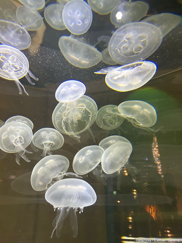 Fashion Dolls 428 — Туризм и путешествия: фотоотчеты из поездок