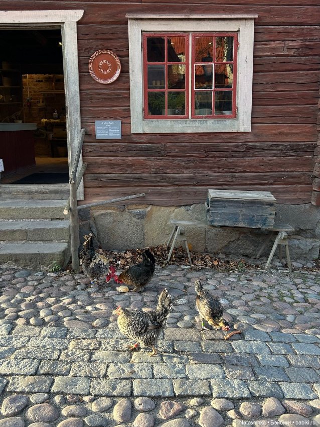 Fashion Dolls 428 — Туризм и путешествия: фотоотчеты из поездок