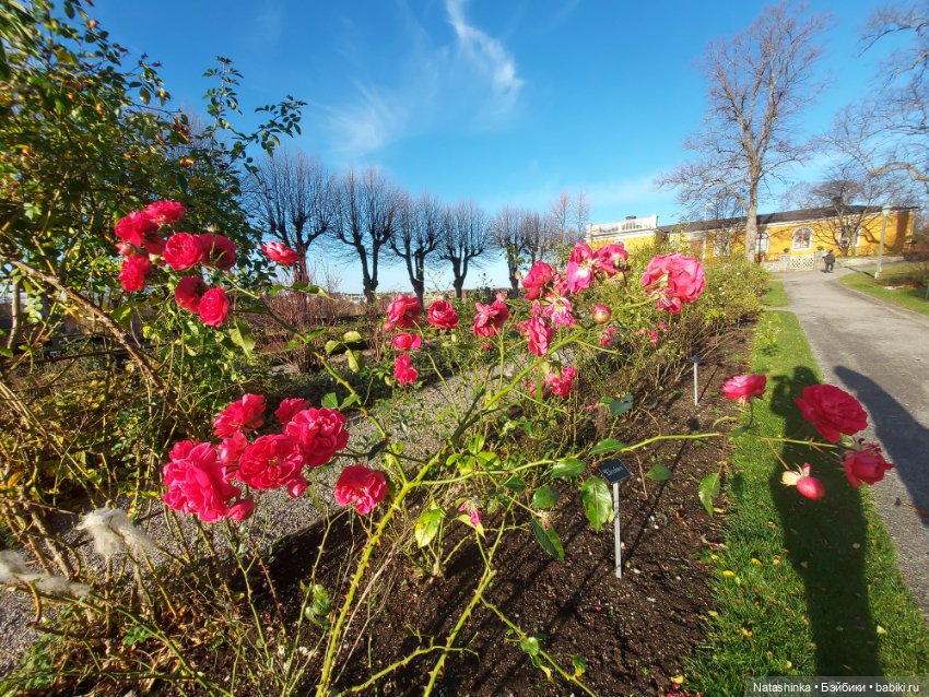 Fashion Dolls 428 — Туризм и путешествия: фотоотчеты из поездок (фото 9)