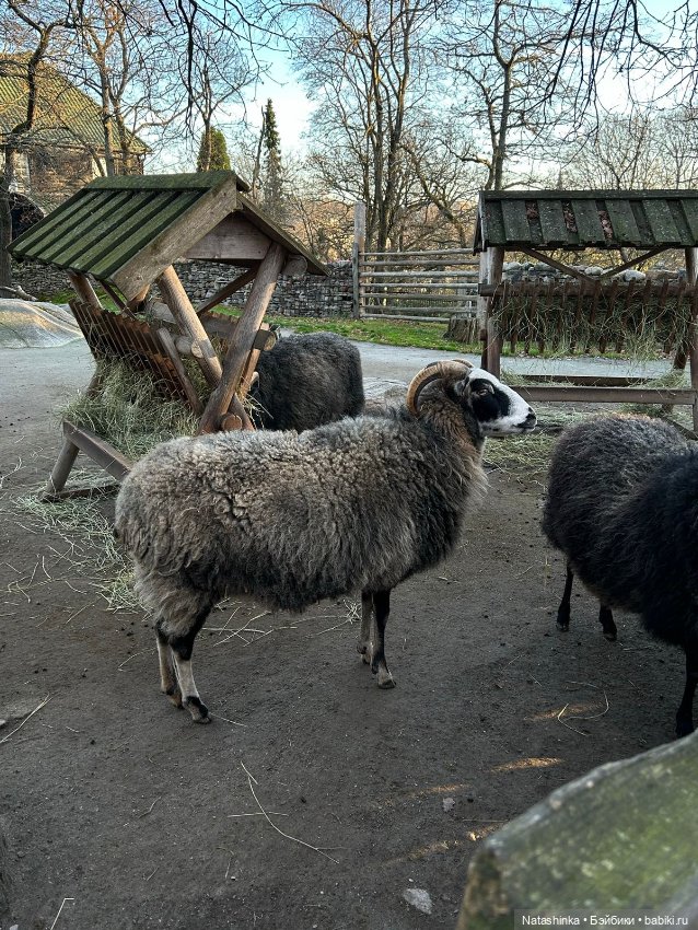 Fashion Dolls 428 — Туризм и путешествия: фотоотчеты из поездок